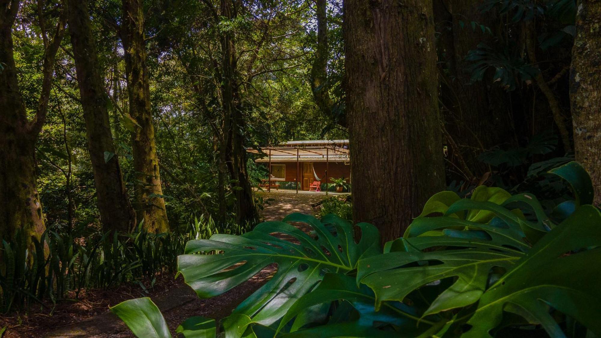 Los Pinos Cabins & Reserve Monteverde Екстериор снимка